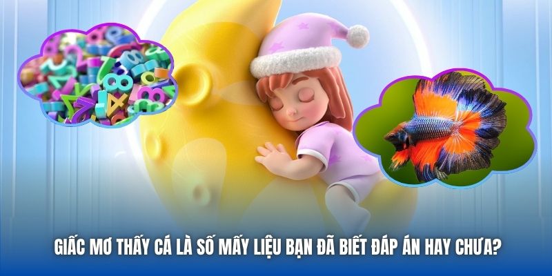 Giấc Mơ Thấy Cá Là Số Mấy Liệu Bạn Đã Biết Đáp Án Hay Chưa?