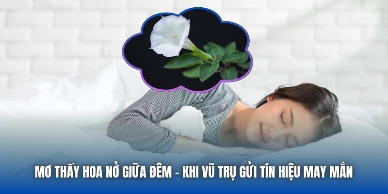 Mơ Thấy Hoa Nở Giữa Đêm | Khi Vũ Trụ Gửi Tín Hiệu May Mắn