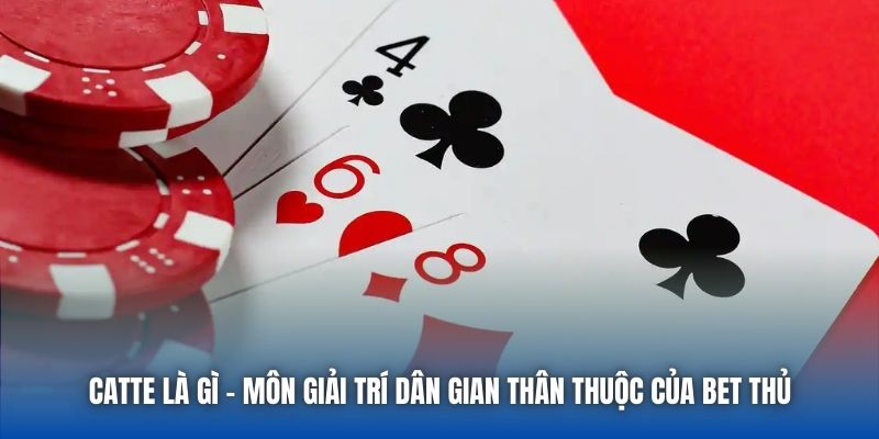 Catte Là Gì - Môn Giải Trí Dân Gian Thân Thuộc Của Bet Thủ