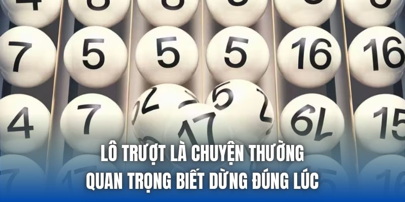 Lô Trượt Là Chuyện Thường, Quan Trọng Biết Dừng Đúng Lúc