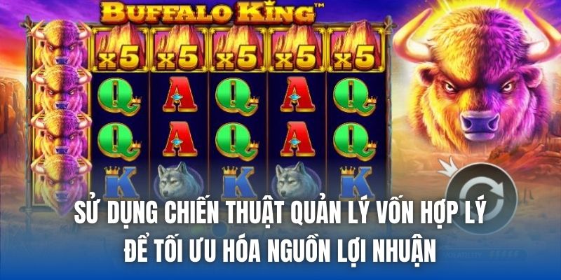Sử dụng chiến thuật quản lý vốn hợp lý để tối ưu hóa nguồn lợi nhuận