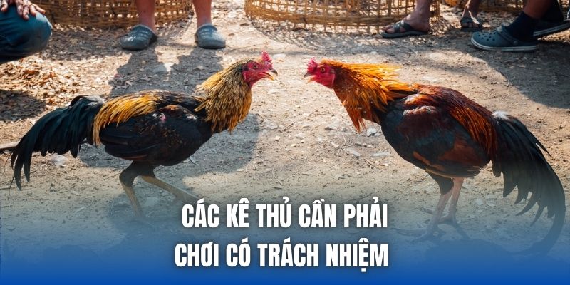 Các kê thủ cần phải chơi có trách nhiệm