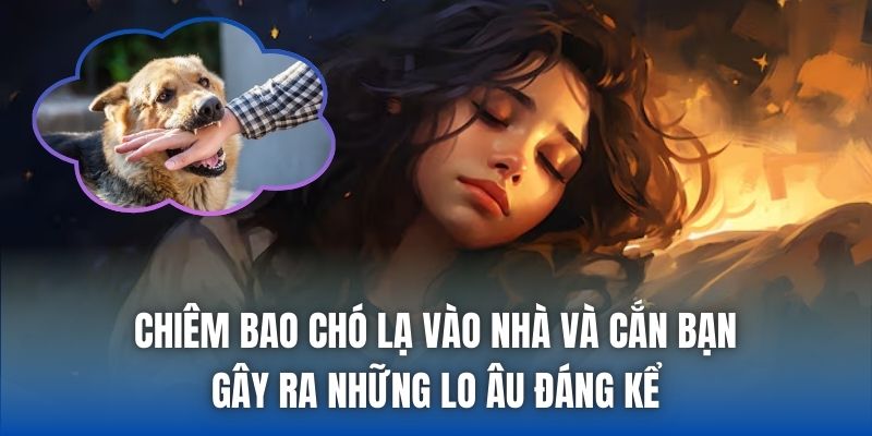 Chiêm bao chó lạ vào nhà và cắn bạn gây ra những lo âu đáng kể